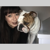 Looking for a roommate in Westside / South Bay - Los Angeles