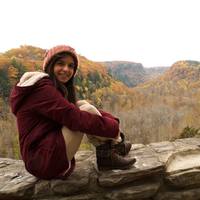 Looking for a roommate in Palm Beach County, Miami Dade, Miami Beach, Miami, Broward County - Miami