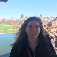 Looking for a roommate in Jersey City / Hoboken, Queens, Brooklyn - New York