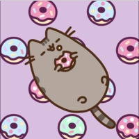 Looking for a roommate in Manhattan - New York