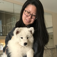 Looking for a roommate in Jersey City / Hoboken, Brooklyn, Manhattan - New York