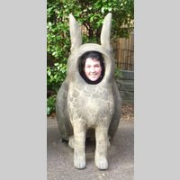 Looking for a roommate in Manhattan - New York