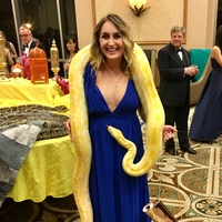 Looking for a roommate in Manhattan - New York