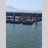 Looking for a roommate in East Bay, San Francisco - San Francisco