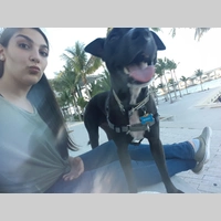 Looking for a roommate in Miami - Miami