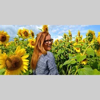 Looking for a roommate in Jersey City / Hoboken, Brooklyn, Manhattan - New York