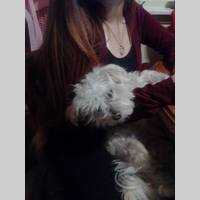 Looking for a roommate in Queens, Brooklyn, Manhattan - New York