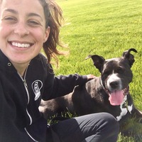 Looking for a roommate in Jersey City / Hoboken, Brooklyn - New York