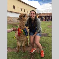 Looking for a roommate in Brooklyn, Manhattan - New York