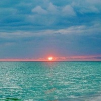 Looking for a roommate in Miami - Miami