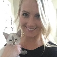 Looking for a roommate in Queens, Brooklyn, Manhattan - New York