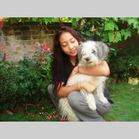 Looking for a roommate in Queens, Brooklyn, Manhattan - New York