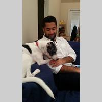 Looking for a roommate in Jersey City / Hoboken - New York