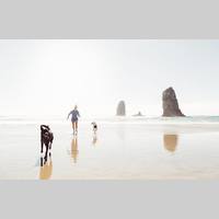 Looking for a roommate in The Bronx, Queens, Brooklyn, Manhattan - New York