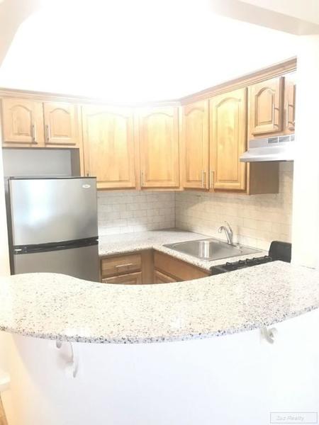 1 bedroom apartment for rent in Bay Ridge - Brooklyn, New York