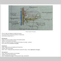 Looking for a roommate in Manhattan - New York