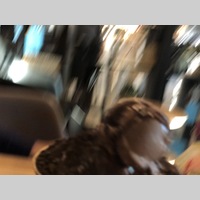 Looking for a roommate in Miami Dade, Miami Beach, Broward County - Miami