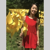 Looking for a roommate in Manhattan - New York