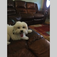 Looking for a roommate in Miami Dade - Miami