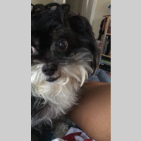 Looking for a roommate in The Harbor, Westside / South Bay - Los Angeles