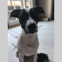 Looking for a roommate in San Fernando Valley - Los Angeles