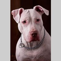 Looking for a roommate in Brooklyn, Manhattan - New York