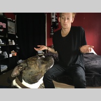 Looking for a roommate in Central Los Angeles, Southeast, San Fernando Valley, The Harbor, Westside / South Bay - Los Angeles