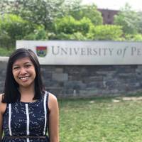 Looking for a roommate in Jersey City / Hoboken, Queens, Manhattan - New York