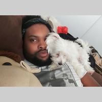 Looking for a roommate in Toronto - Toronto