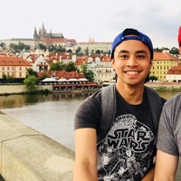 Looking for a roommate in Staten Island, Queens, Brooklyn, Manhattan - New York