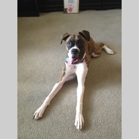 Looking for a roommate in Brooklyn, Manhattan - New York