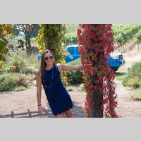 Looking for a roommate in Manhattan - New York