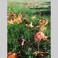 Looking for a roommate in Manhattan - New York