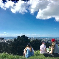 Looking for a roommate in Queens, Brooklyn, Manhattan - New York