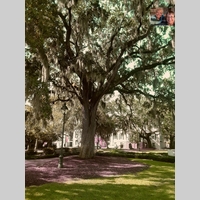 Looking for a roommate in Miami Dade, Miami Beach, Miami - Miami