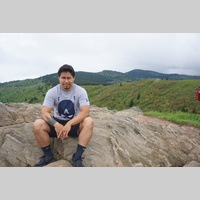 Looking for a roommate in Fair Fax / Va Commonwealth - Washington DC