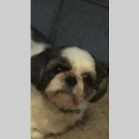 Looking for a roommate in Manhattan - New York