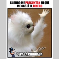 Looking for a roommate in Se Dallas, Nw Dallas, Ne Dallas - Dallas