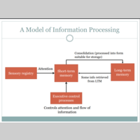 Looking for a roommate in South Philadelphia - Philadelphia