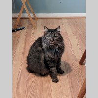 Looking for a roommate in Se Houston - Houston