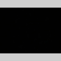 Looking for a roommate in Se Dallas, Sw Dallas, Nw Dallas, Ne Dallas - Dallas