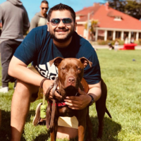 Looking for a roommate in San Francisco - San Francisco