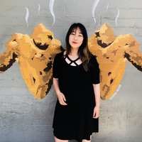 Looking for a roommate in Contra Costa County, South Bay, Peninsula, East Bay - San Francisco