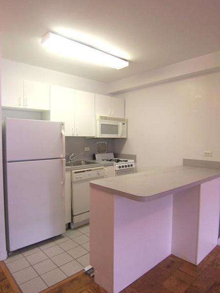 1 bedroom apartment for rent in Upper East Side - Manhattan, New York