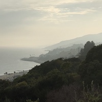 Looking for a roommate in Central Los Angeles, Westside / South Bay - Los Angeles