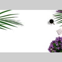 Looking for a roommate in Miami Dade, Miami Beach, Miami - Miami