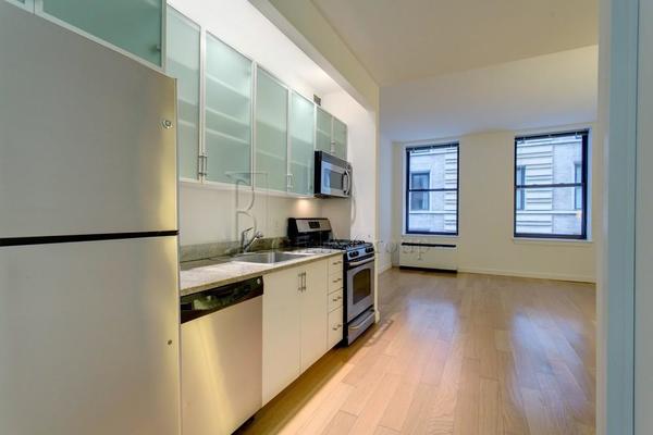 1 bedroom apartment for rent in Financial District - Manhattan, New York