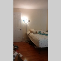 Looking for a roommate