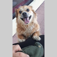 Looking for a roommate in York Region, Toronto - Toronto