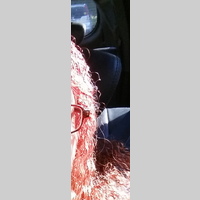 Looking for a roommate in West Austin, North Austin, North Central Austin - Austin